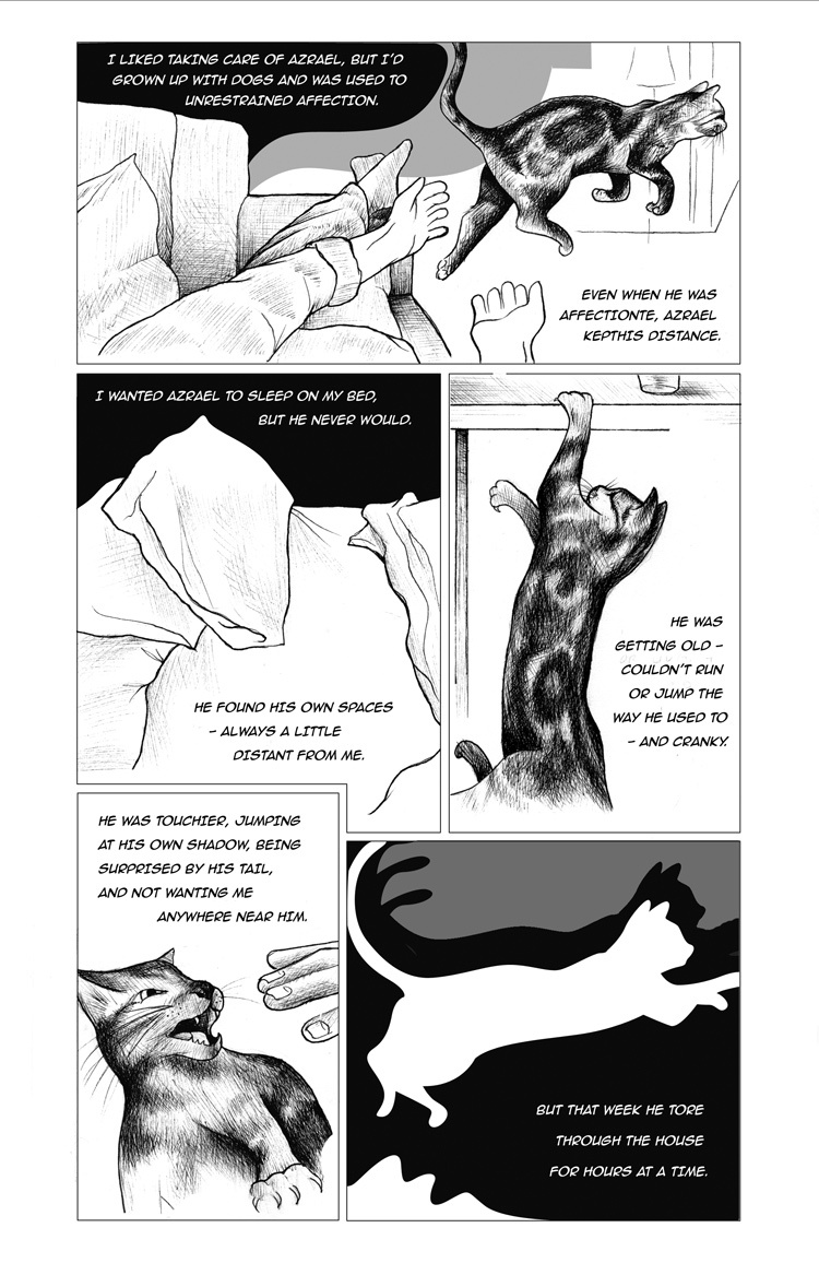 Departing for the Third Heaven, page 2