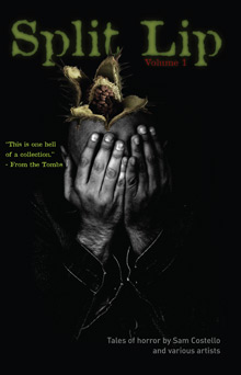 split-lip-cover-1