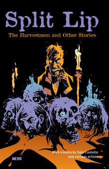 split-lip-cover-2