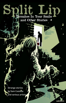 split-lip-cover-3